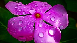 水,为,新