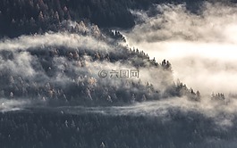 空氣,霧,山頂