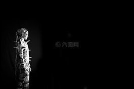 模型,小說,報紙