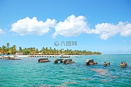 碼頭,海洋,端口