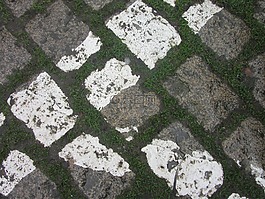 攤鋪機,路,土壤