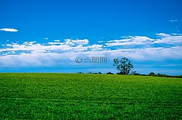 景觀,草,天空