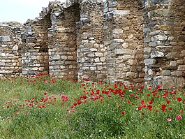 aphrodisias,古董,古代