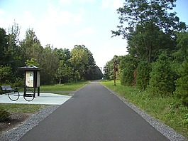 勞埃德,紐約,路