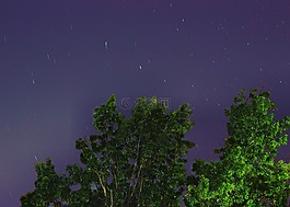 明星,天空,樹
