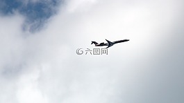 飛機,天空,云