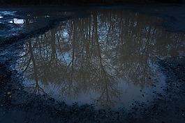 背景,黑暗,紋理