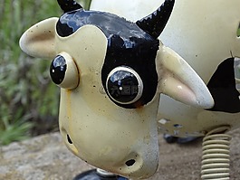 牛,裝飾