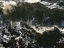 海,海洋,水