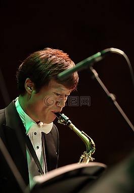 藝術(shù)家,音樂家,音樂
