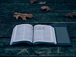 書(shū),閱讀,ipad