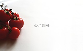蕃茄,蔬菜,食品