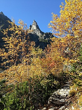 冬奧會(huì),山,秋