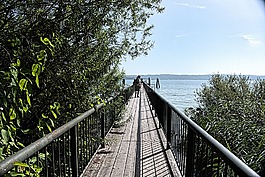 观点,码头,水