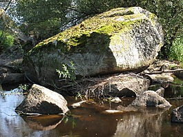石頭,水,moss