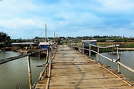 橋梁,竹,旅游