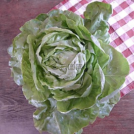 生菜,绿色,生物