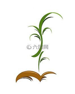 植物,性質,成長