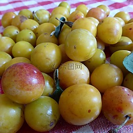 黃李子,水果,維生素