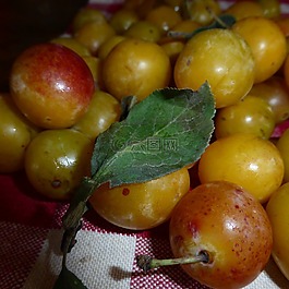 黃李子,水果,維生素