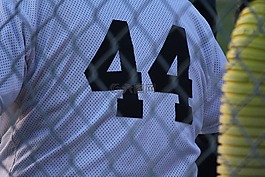 棒球,44,數(shù)