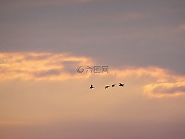 日落,天空,云