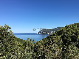 海,橄欖,森林