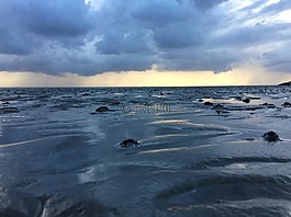 美国瓦茨,北海,水