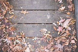 木材,甲板,葉子