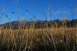 冬奧會(huì),山,視圖
