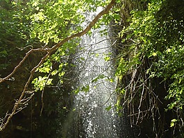 大瀑布,野生,綠色