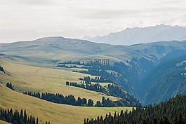 草甸,山,景觀