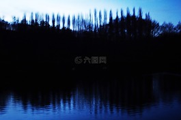 夜,池塘,樹