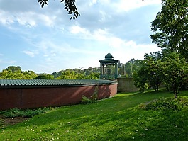 德國,景觀,森林