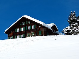 冬天,雪,首頁