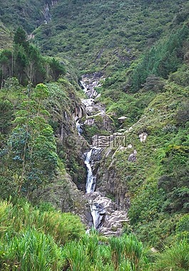 厄瓜多尔,景观,山