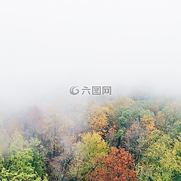 多云的天空,秋天的樹,秋