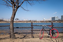 自行車,車輪,冬天