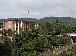山,大學,景物