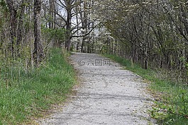 路,路徑,伍茲