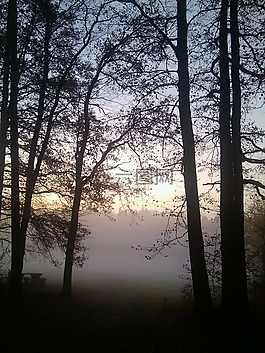 日出,morgenstimmung,景觀