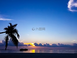 水域,日落,海灘