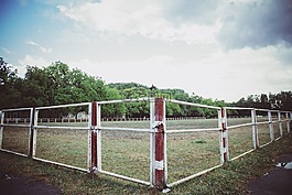 籬笆,院子里,原野