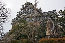 日本,岡山城,旅游