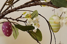复活节贺卡,复活节分支,科