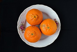 柑橘,鴛鴦,水果