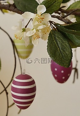 复活节贺卡,复活节分支,科