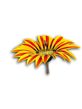 花,孤立,蜜蜂