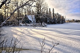 景觀,冬天,雪