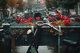 釀酒,自行車(chē),鮮花
